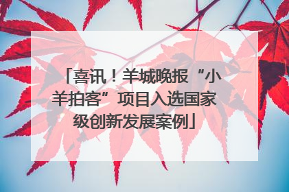 喜讯！羊城晚报“小羊拍客”项目入选国家级创新发展案例